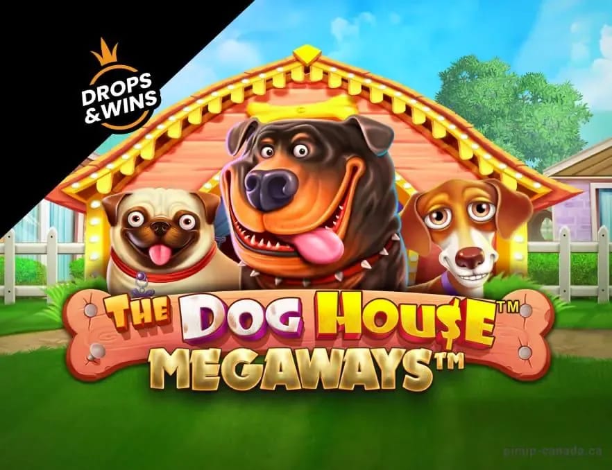 Gambling info site - Malina Casino (Gallery 1-15)